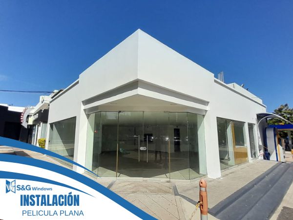 Película Plana y Diseños - imagen 1