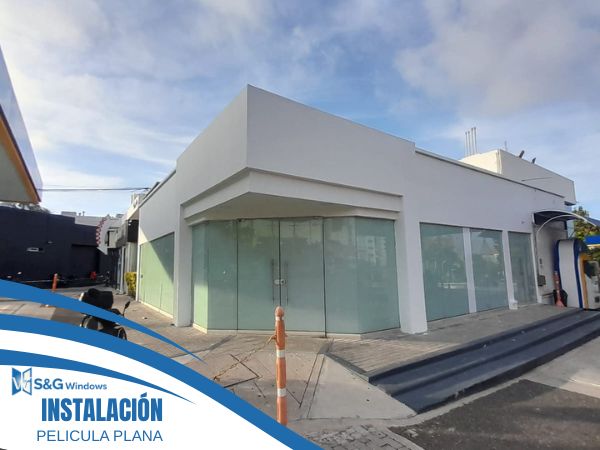 Película Plana y Diseños - imagen 2