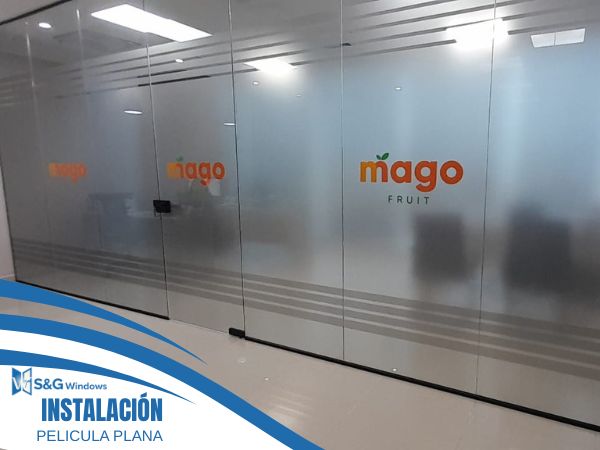 Película Plana y Diseños - imagen 3