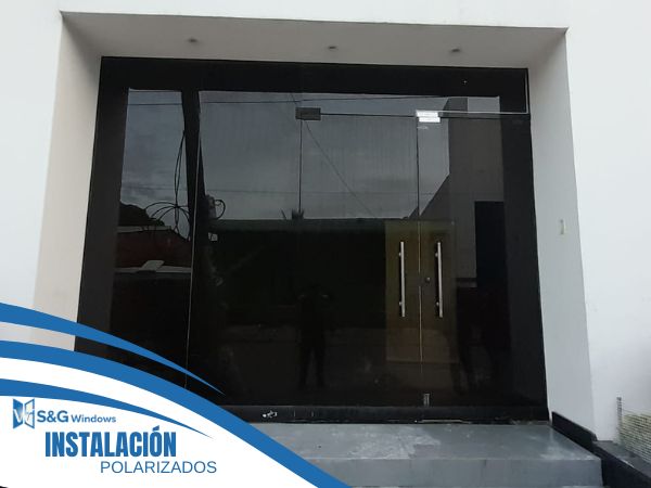 Polarizado - imagen 1