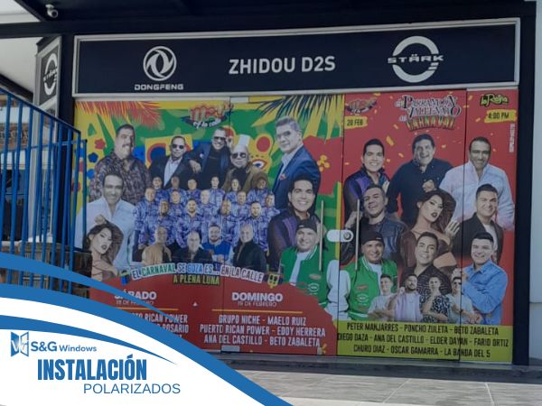 Polarizado - imagen 2