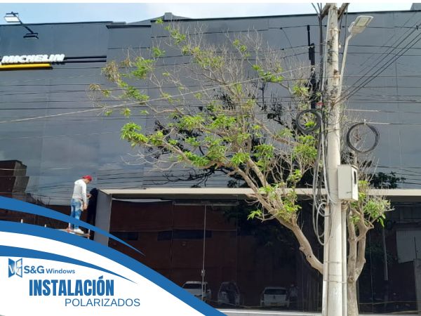 Polarizado - imagen 3