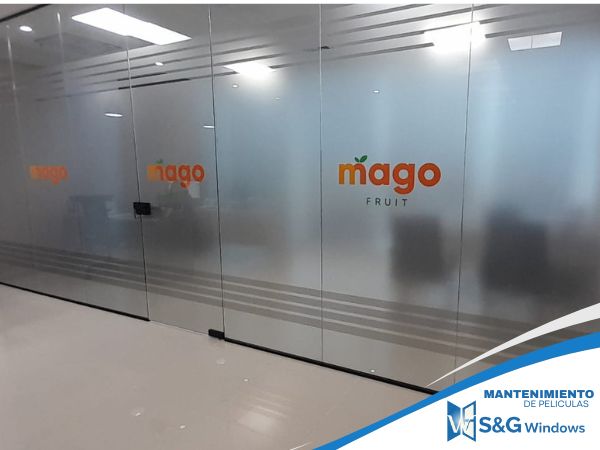 Película Plana y Diseños - imagen 2