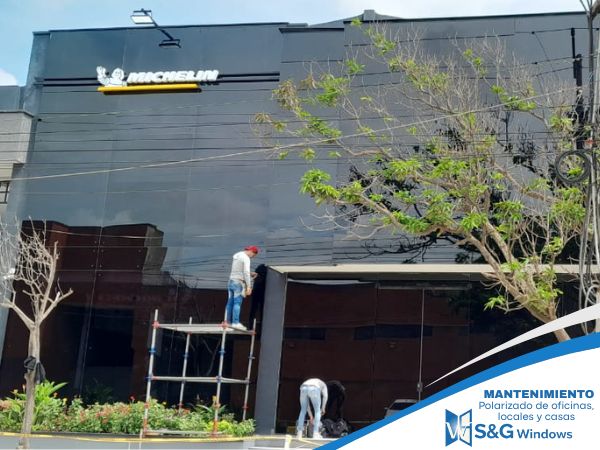 Polarizado - imagen 2